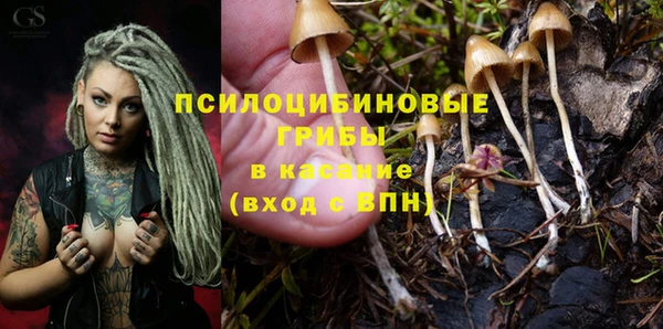 COCAINE Алексеевка